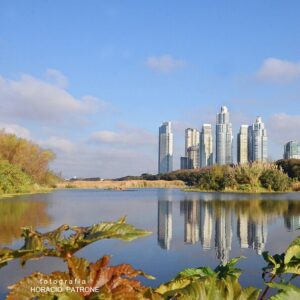 RESERVA_ECOLOGICA_COSTANERA_SUR_.RECS